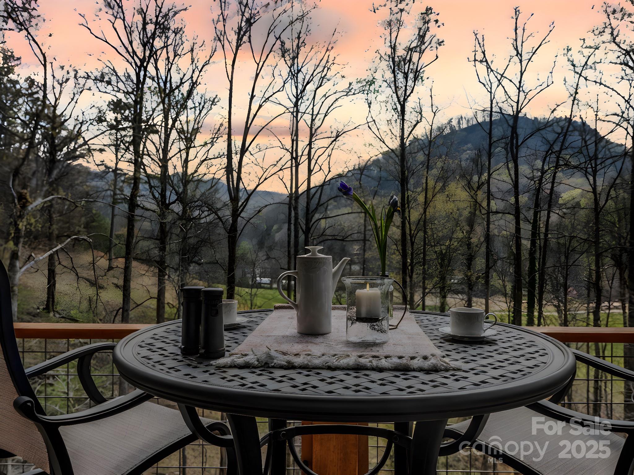 107 Twisted Birch Drive — Hendersonville