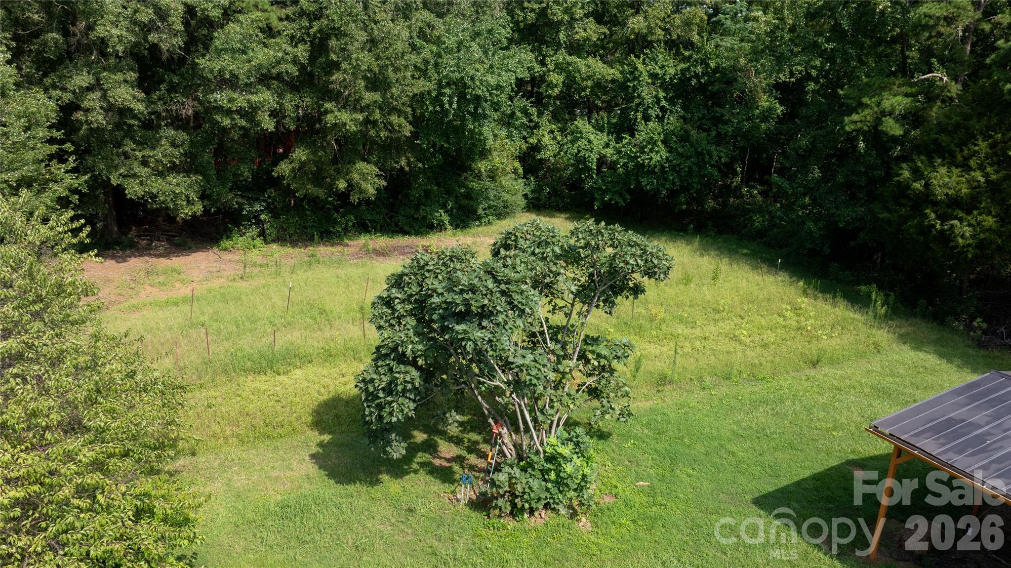 20402 Norton Road — Albemarle