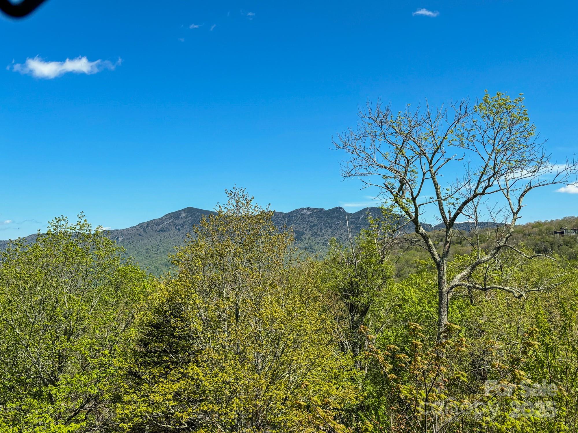 120 Pleasant View Boulevard — Sugar Mountain