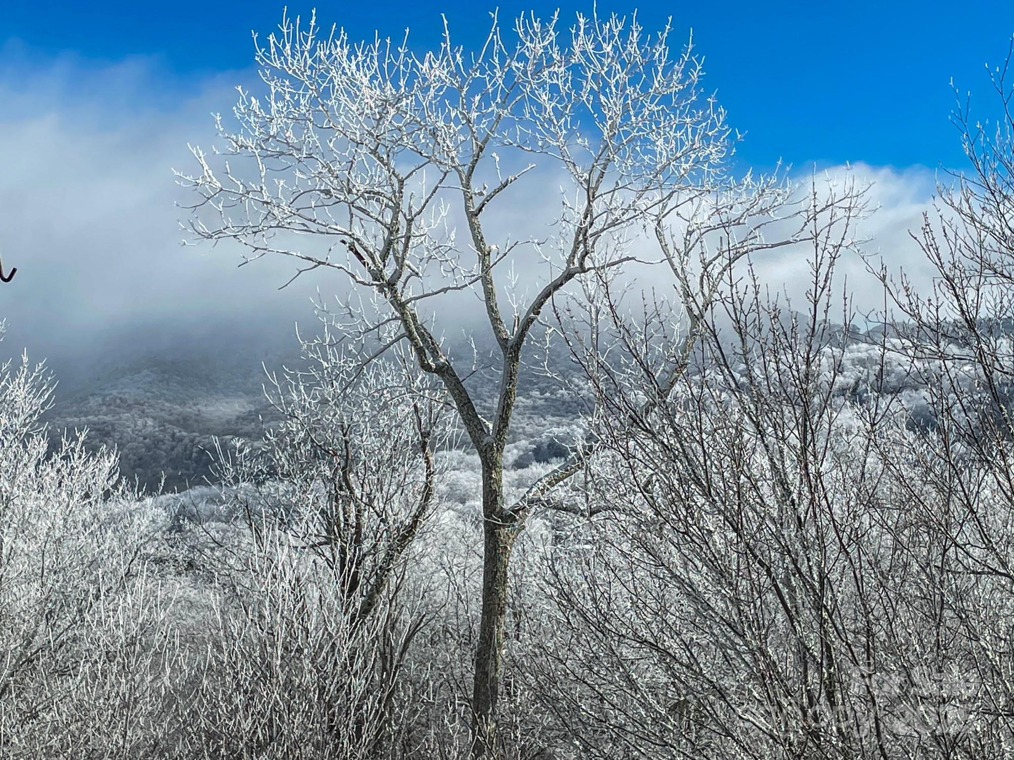 120 Pleasant View Boulevard — Sugar Mountain