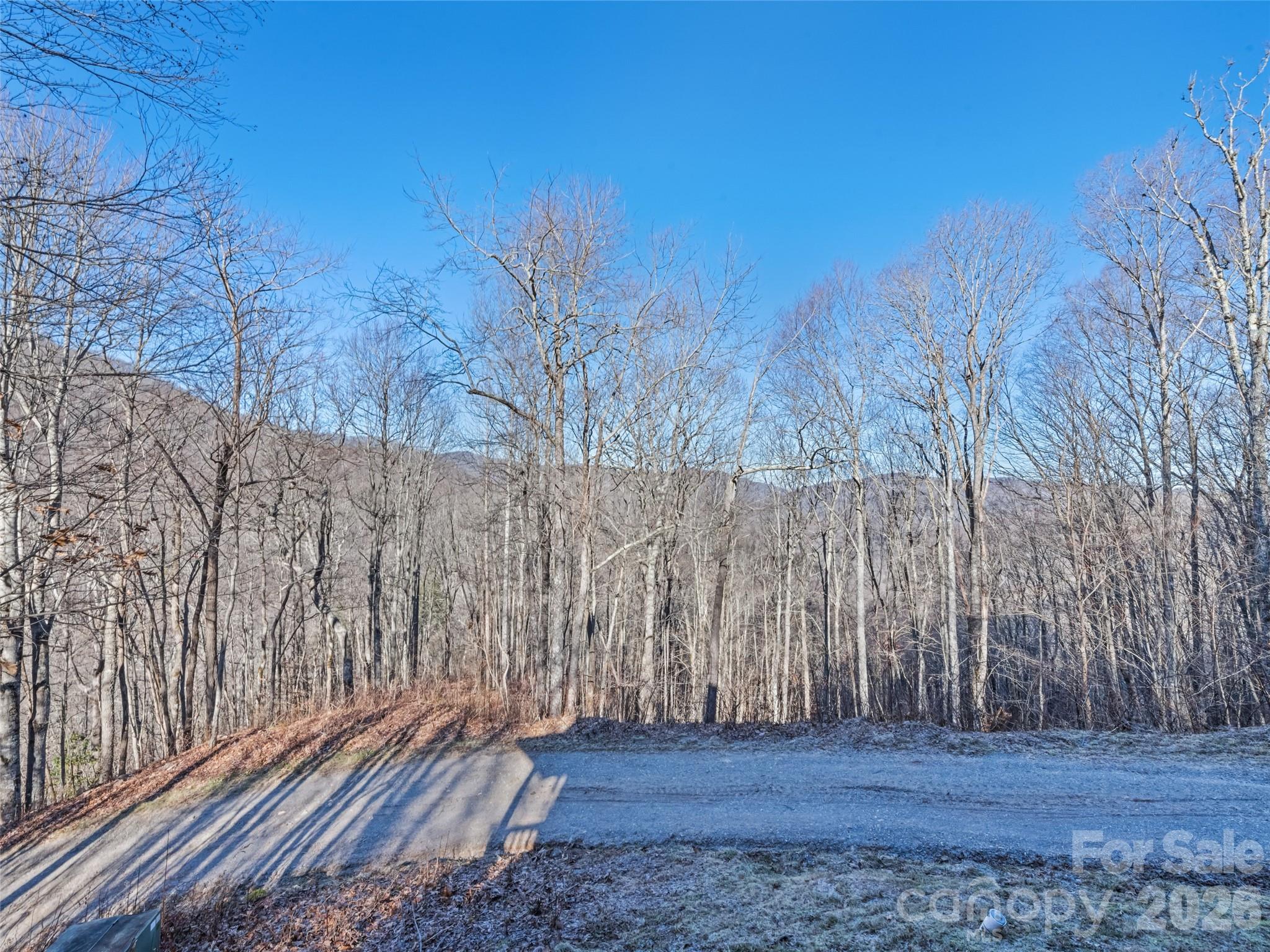 171 Sharons Bluff — Franklin