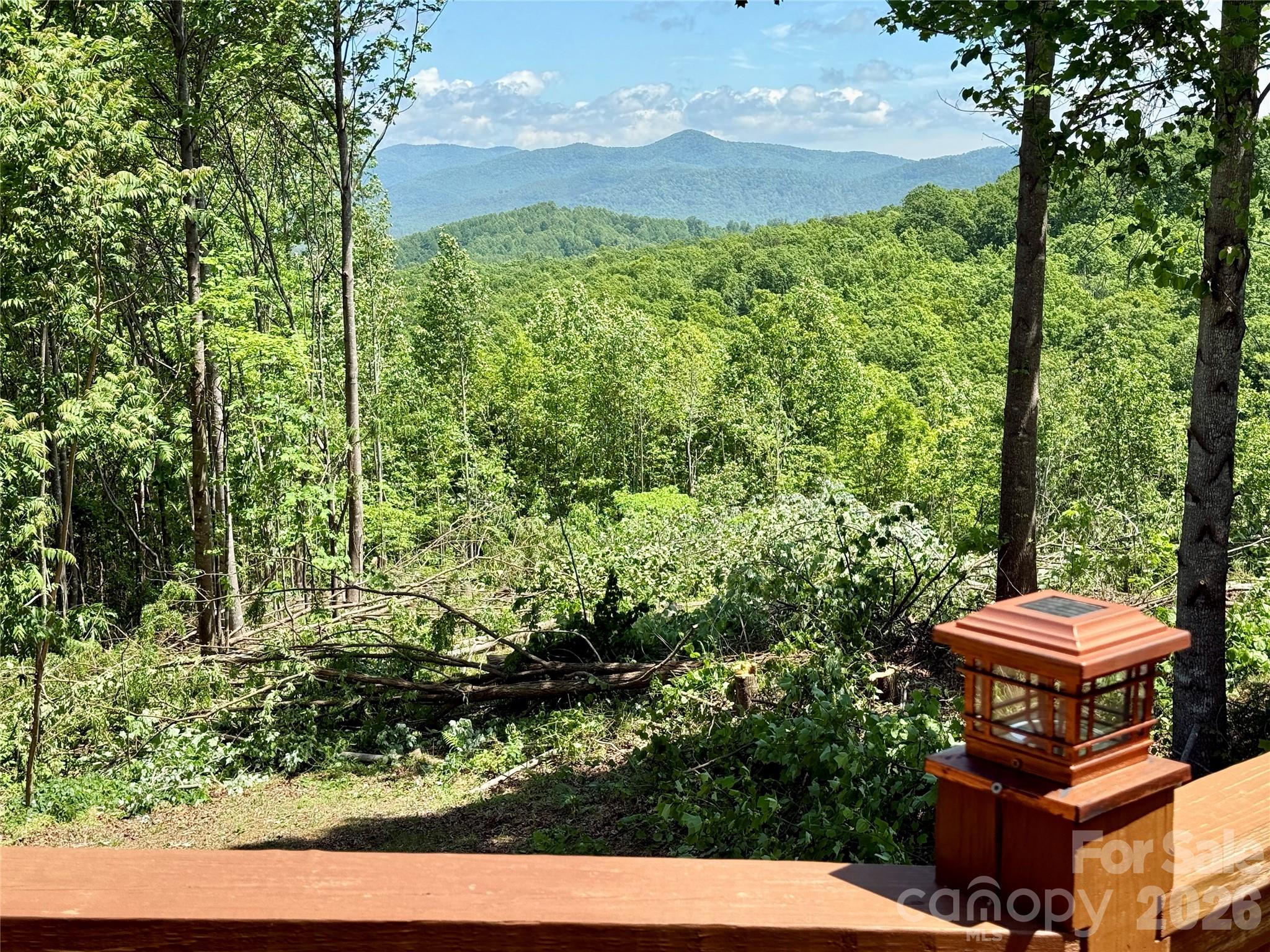 1143 Grandview Peaks Drive — Nebo