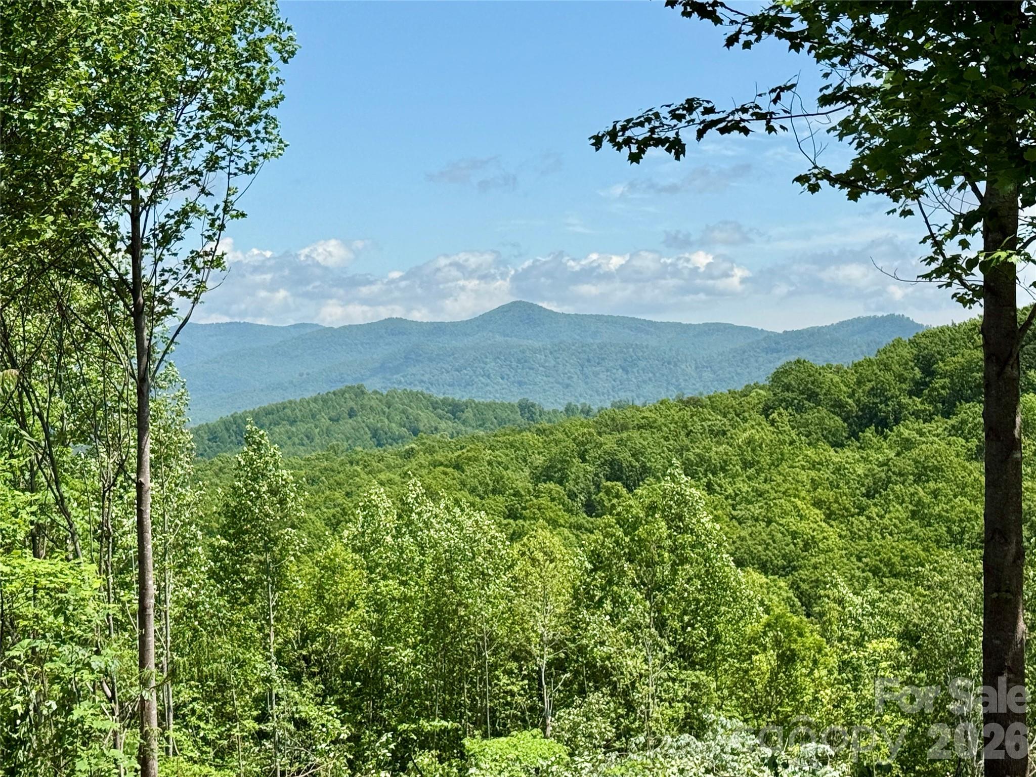 1143 Grandview Peaks Drive — Nebo
