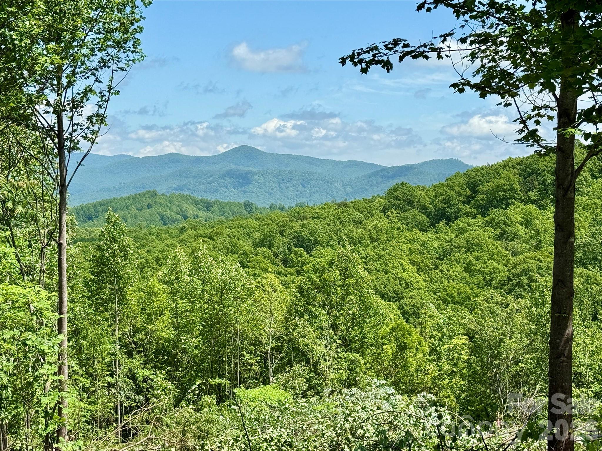 1143 Grandview Peaks Drive — Nebo