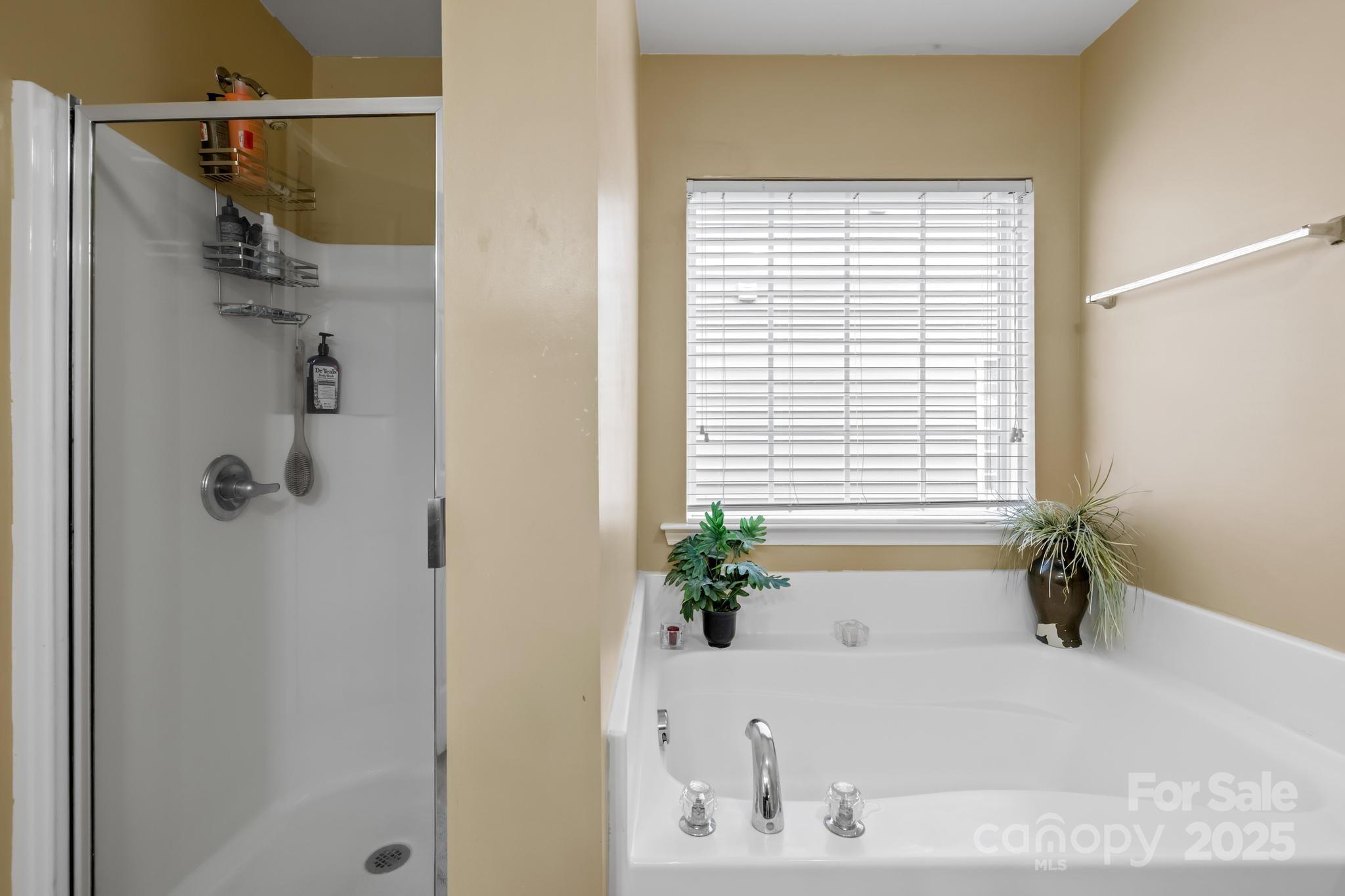 4124 Houldsworth Drive — Charlotte