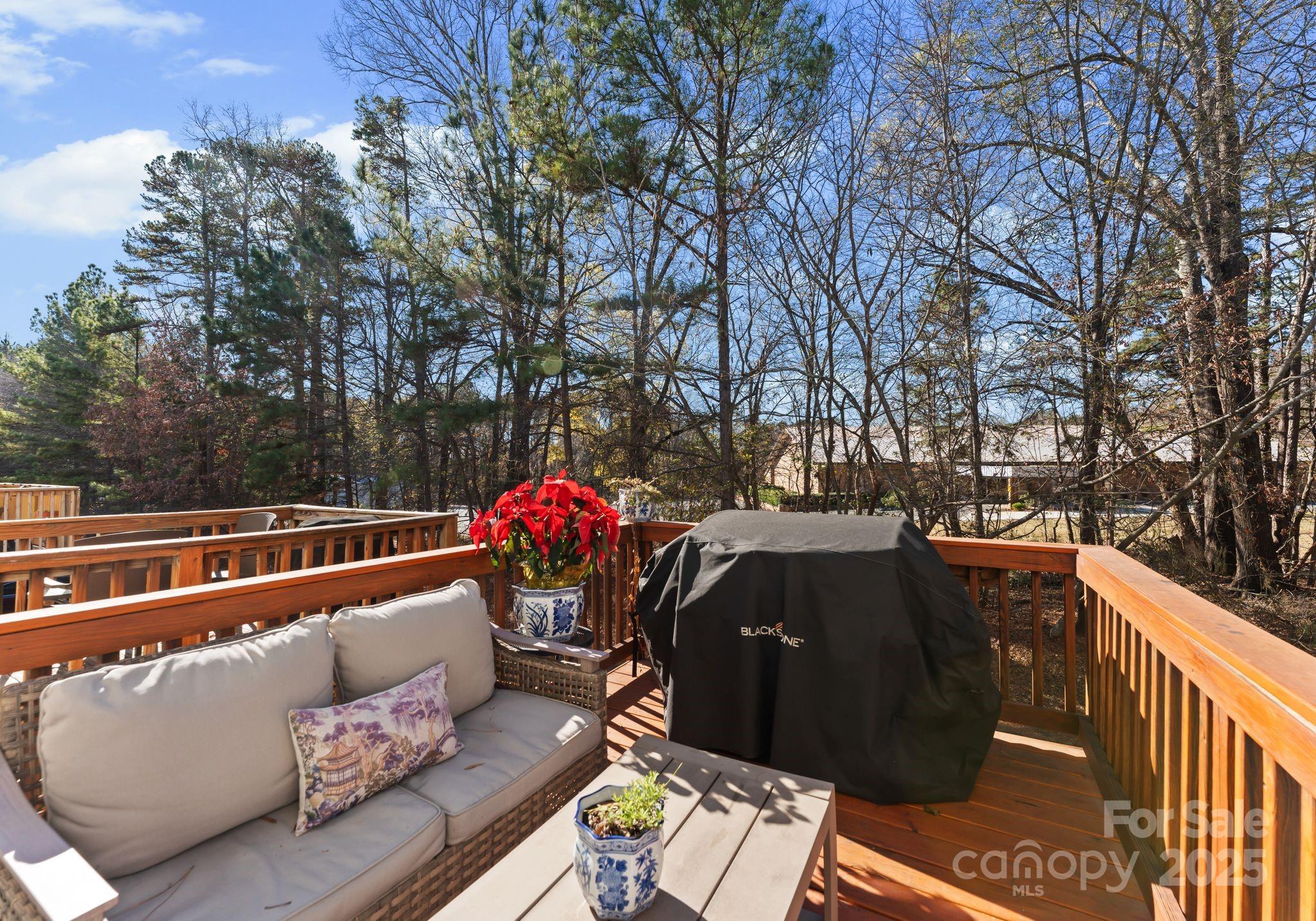 9930 Treeside Lane — Matthews
