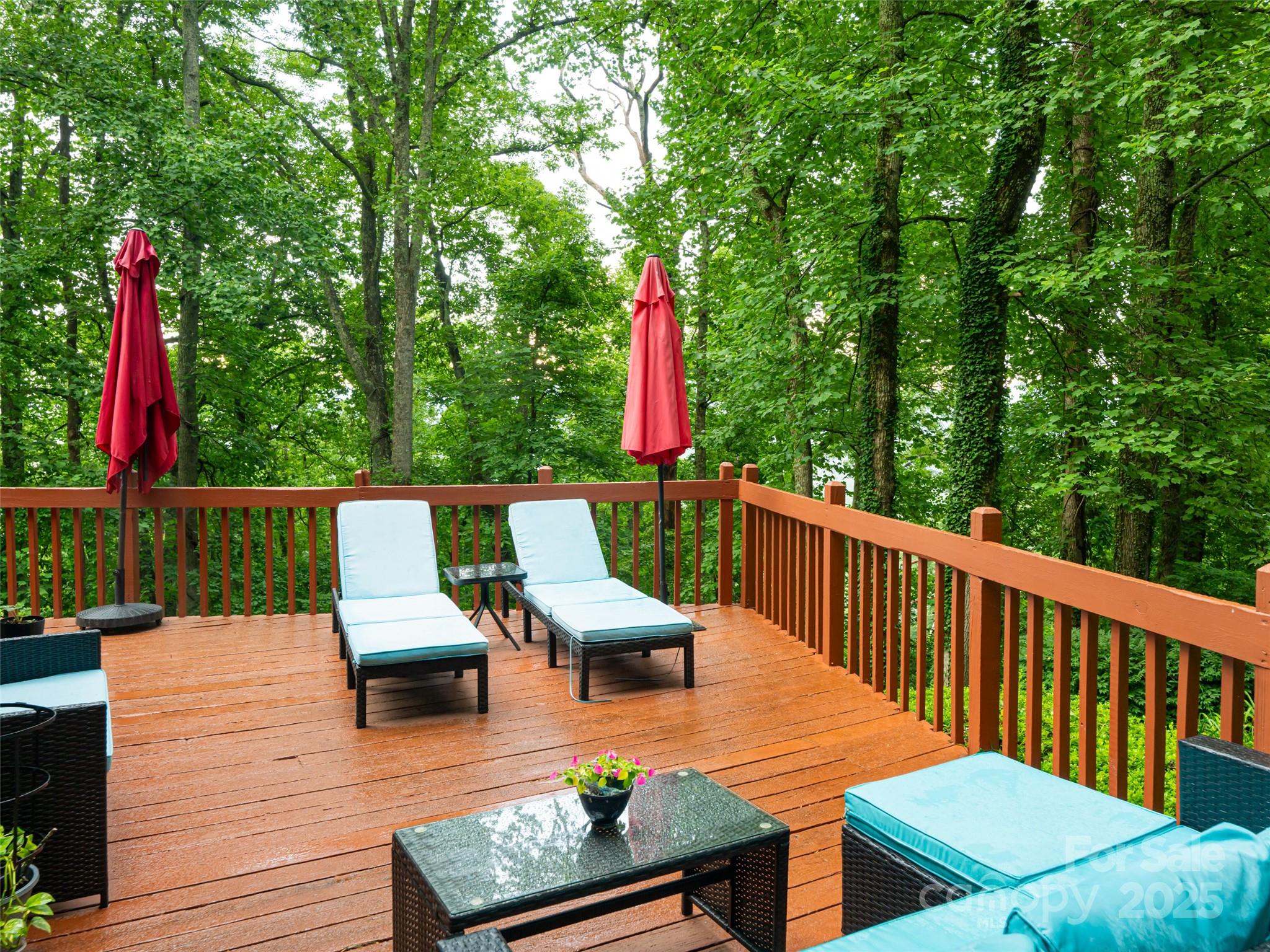 193 Rhododendron Drive — Arden