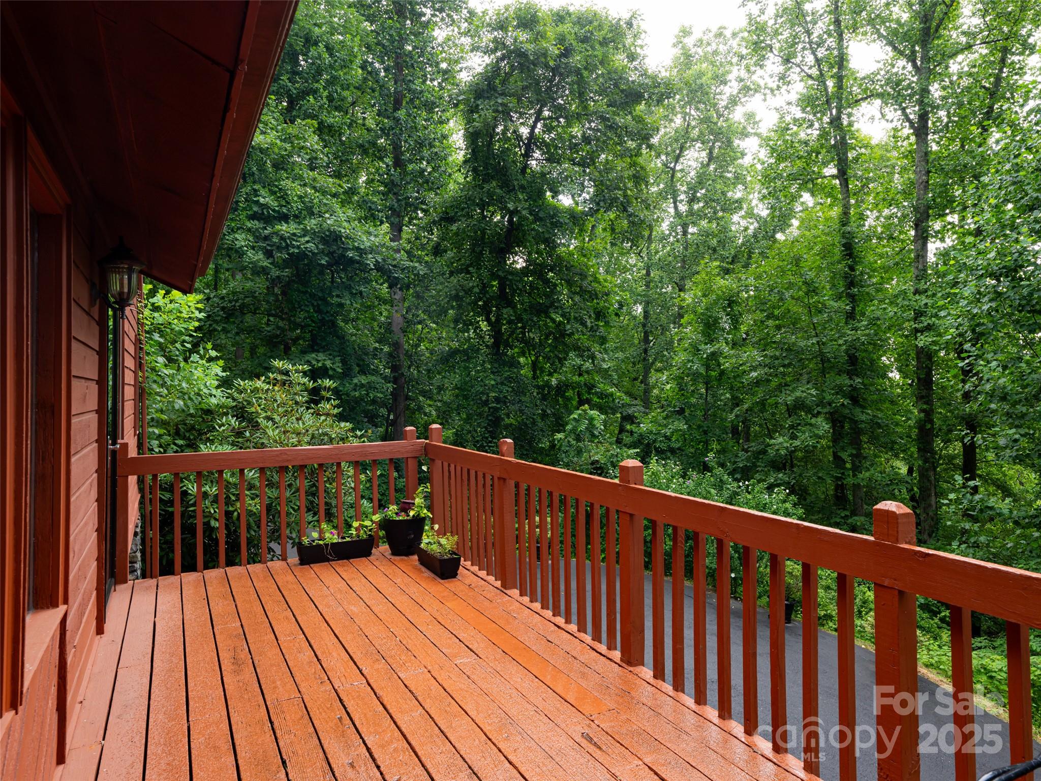 193 Rhododendron Drive — Arden
