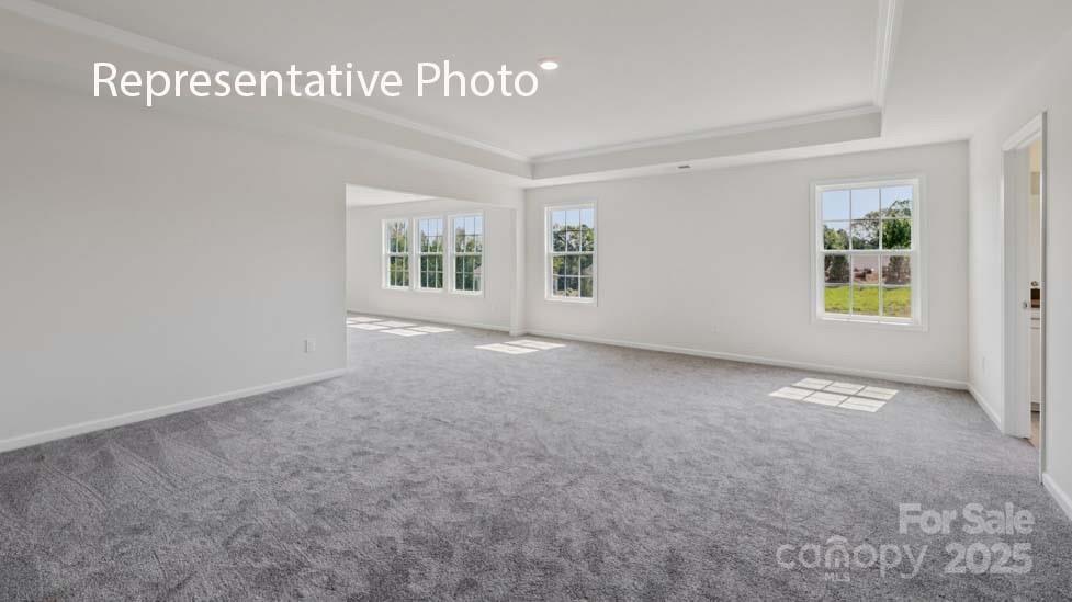 1052 Tundra Swan Drive — Indian Trail