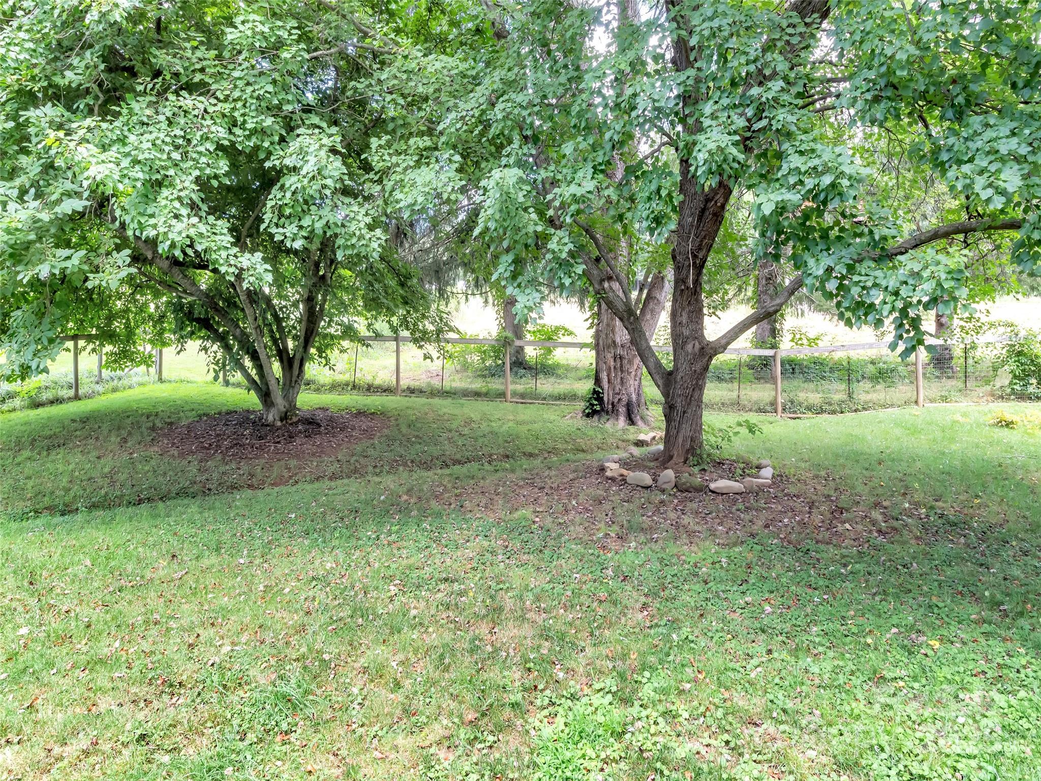 340 Mauney Cove Road — Waynesville