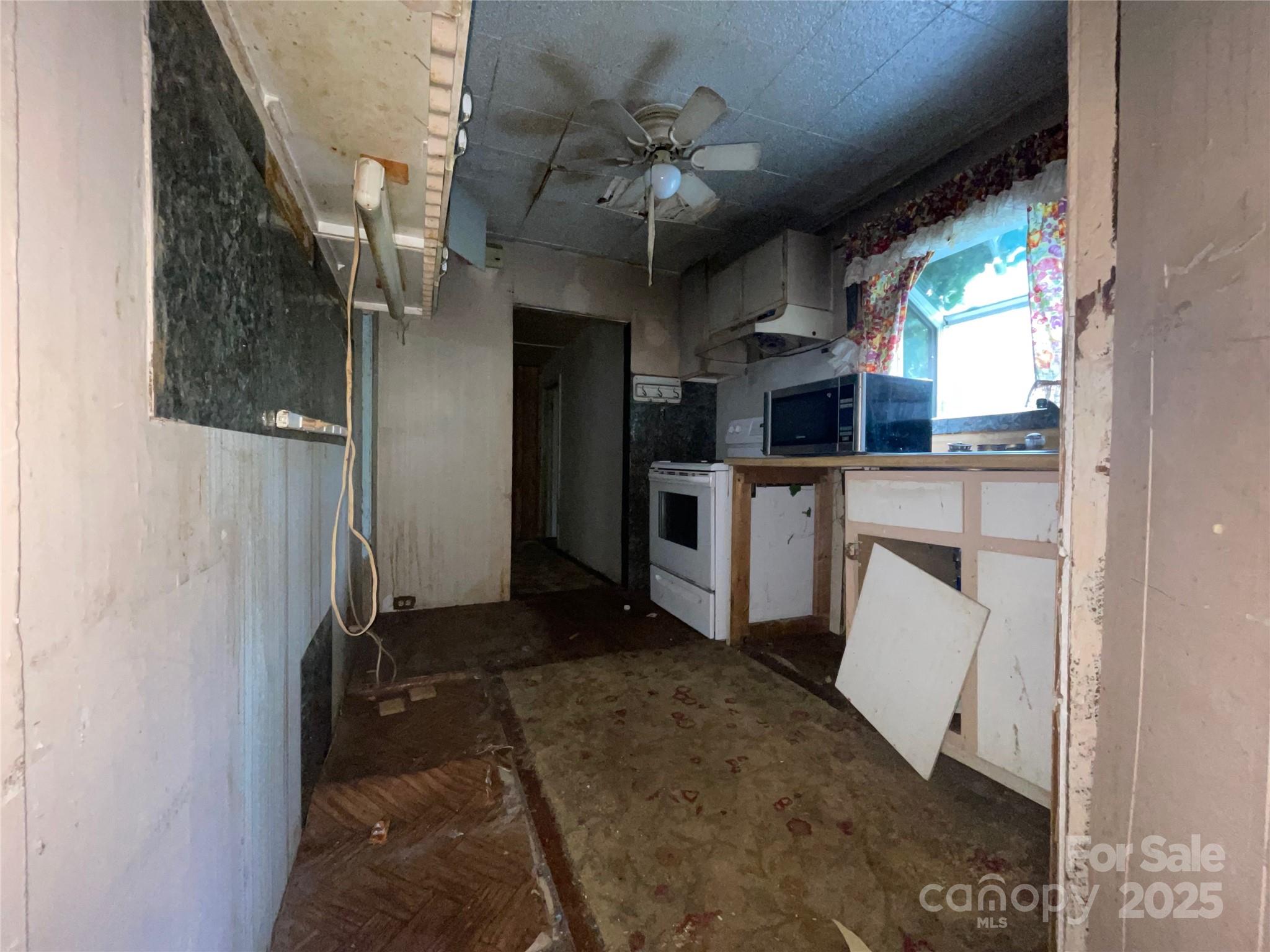 98 Lower Glady Fork Road — Candler
