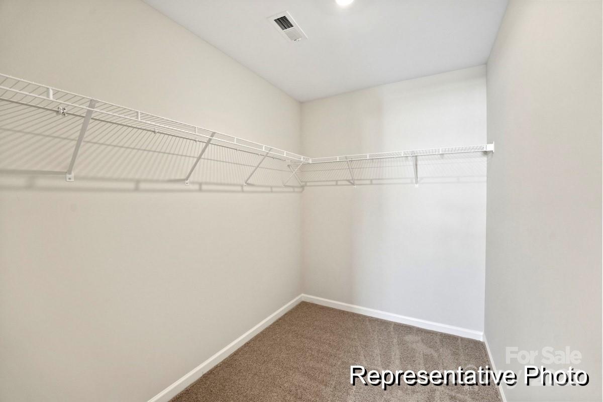 2401 Morgan Hills Drive #310 — Albemarle