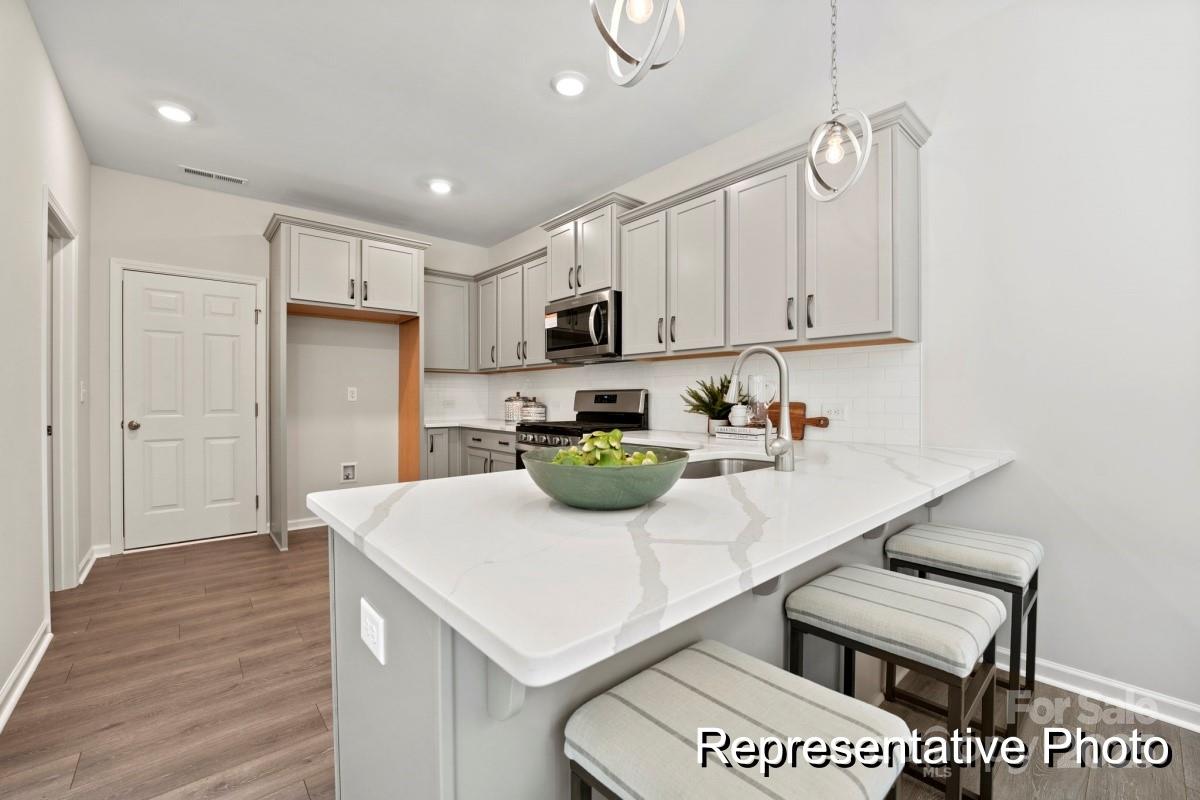 2401 Morgan Hills Drive #310 — Albemarle