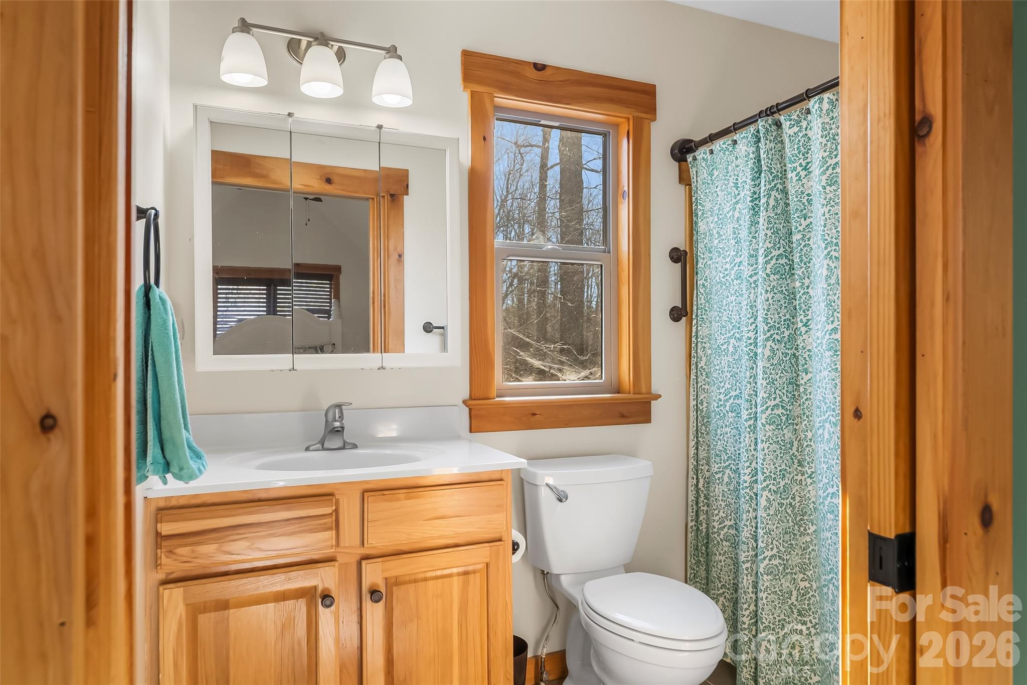 204 Mountain Vista Drive — Nebo