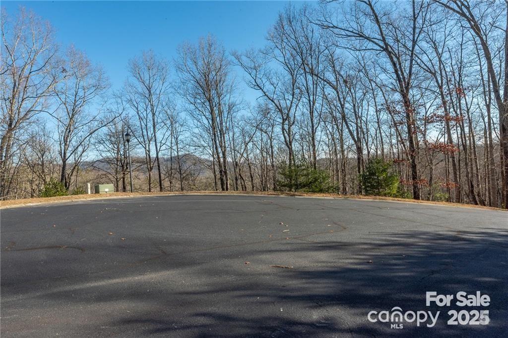 80 Buckhead Trail — Horse Shoe