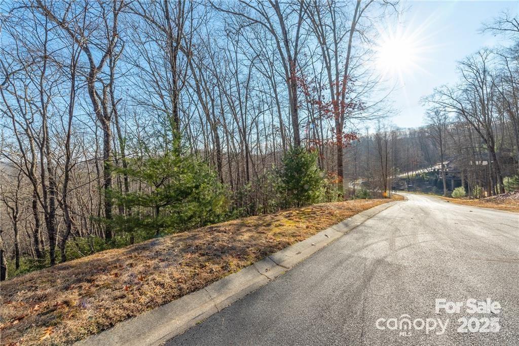 80 Buckhead Trail — Horse Shoe