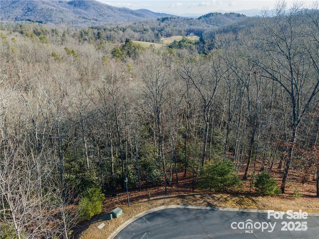 80 Buckhead Trail — Horse Shoe