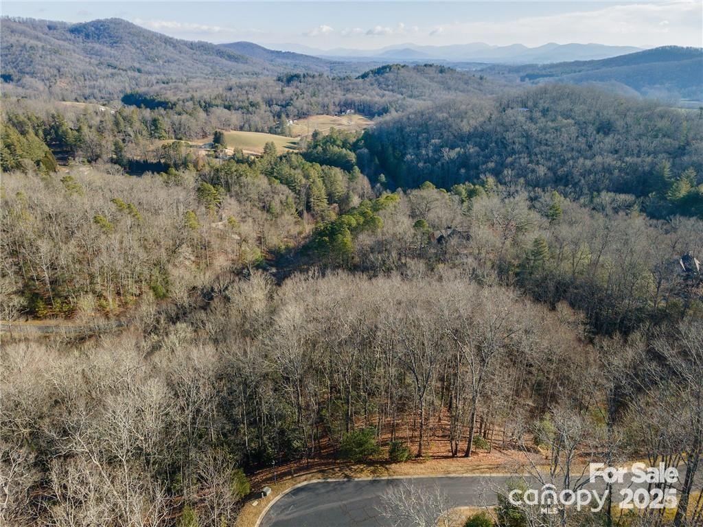 80 Buckhead Trail — Horse Shoe