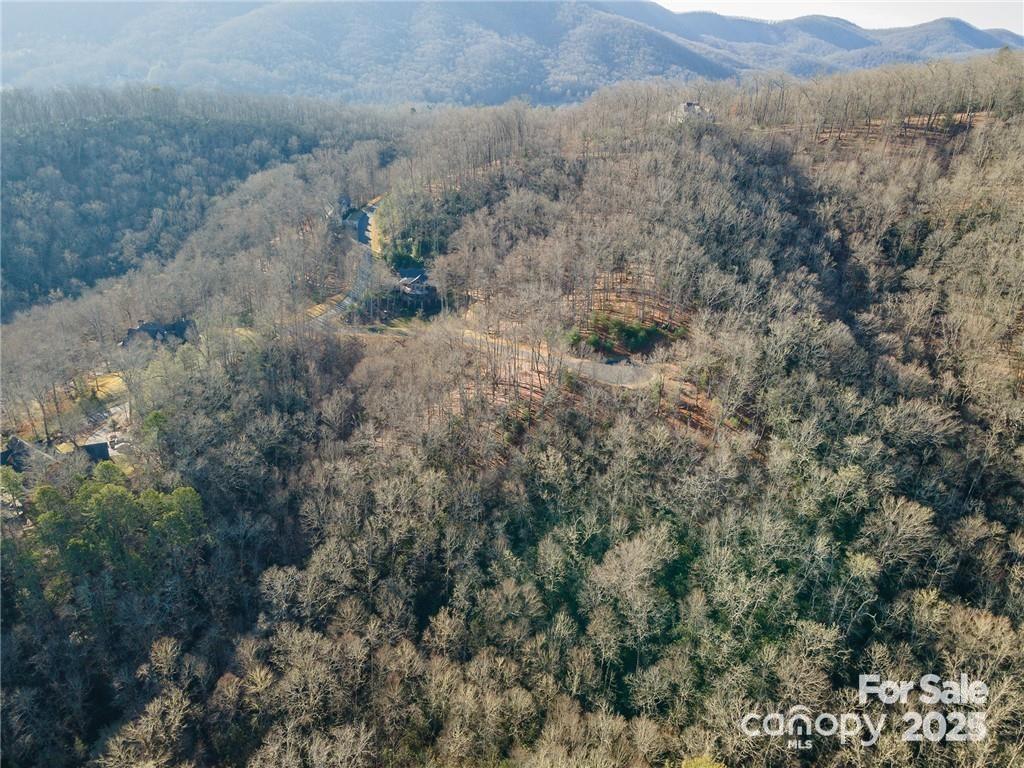 80 Buckhead Trail — Horse Shoe