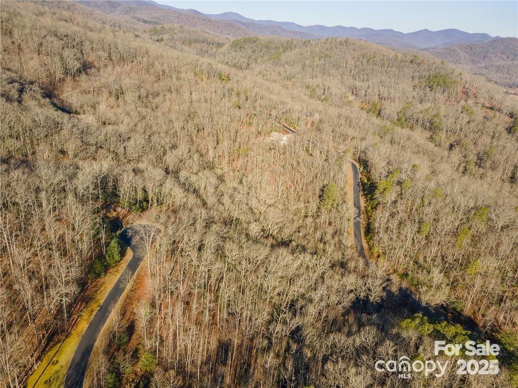 80 Buckhead Trail — Horse Shoe