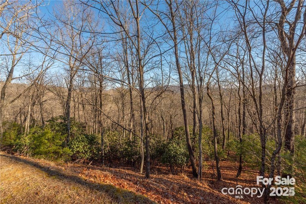 80 Buckhead Trail — Horse Shoe