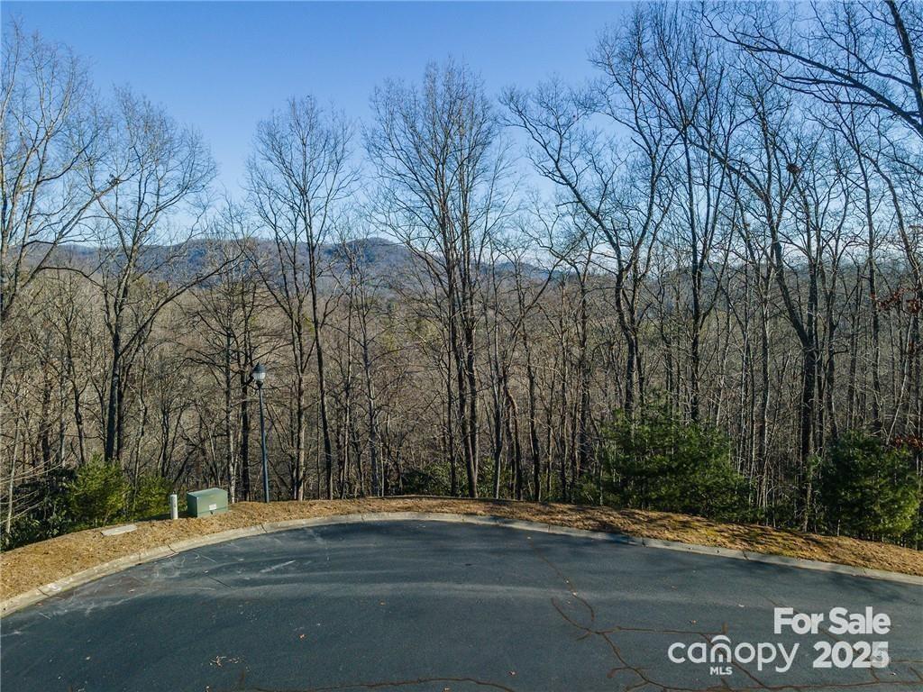 80 Buckhead Trail — Horse Shoe