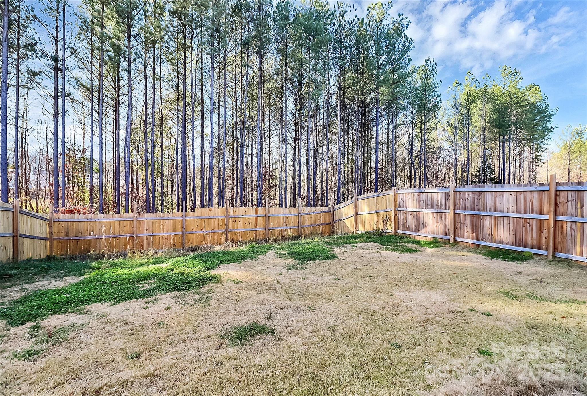 5209 Wolfridge Avenue — Charlotte