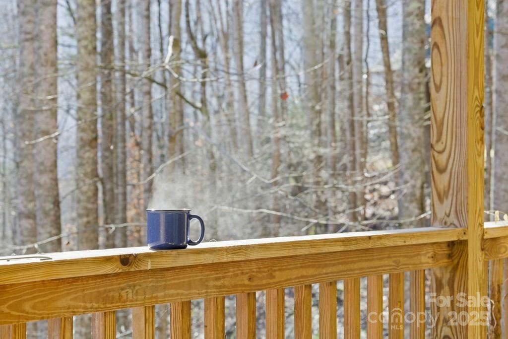 165 Eagles Ridge Road #2 — Sylva