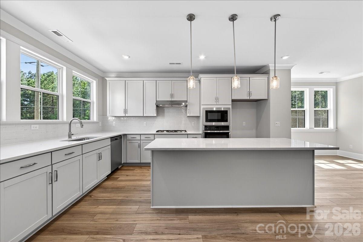 12023 Elsa Lane — Charlotte