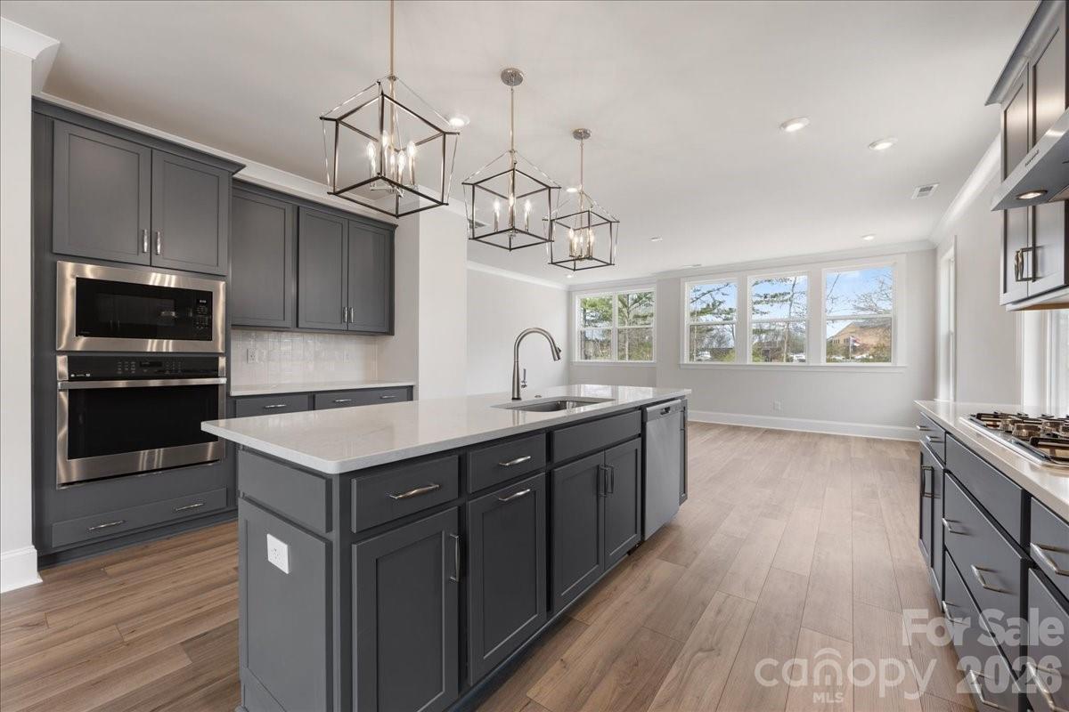8038 Thimbleweed Circle — Charlotte