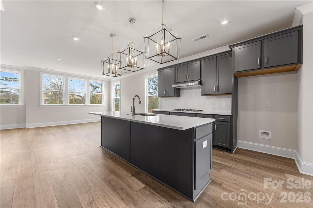8038 Thimbleweed Circle — Charlotte
