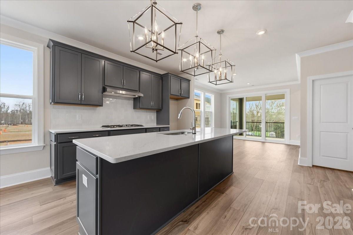 8038 Thimbleweed Circle — Charlotte