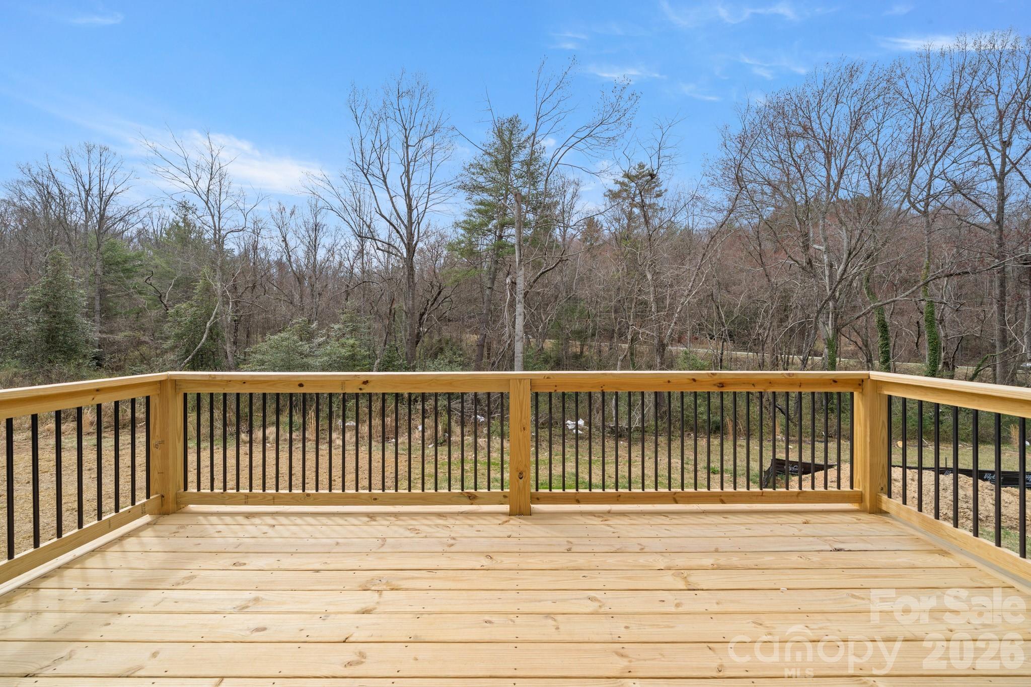 229 EDGEWOOD Road S — Asheville