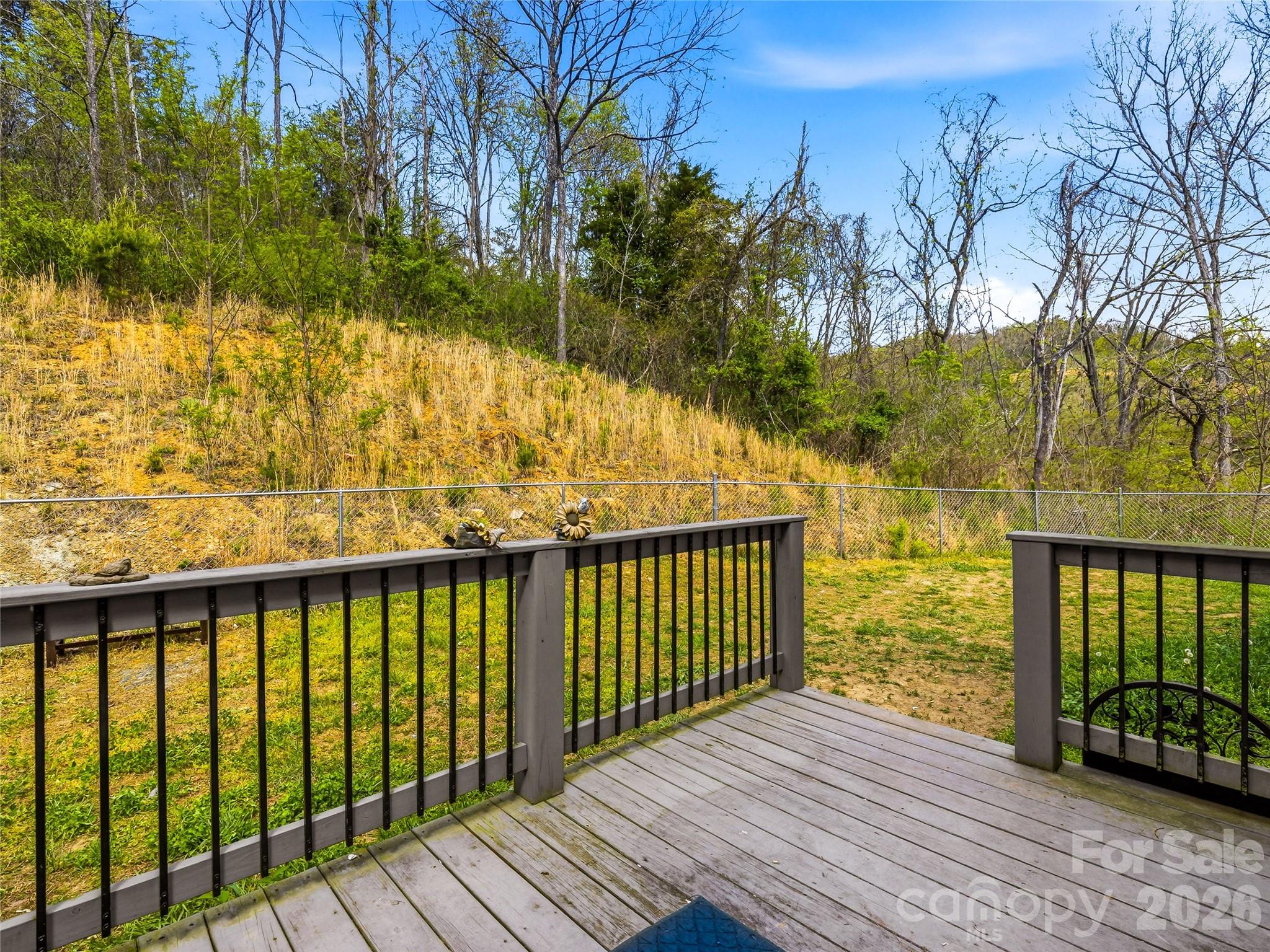 170 Starry Night Lane — Marshall
