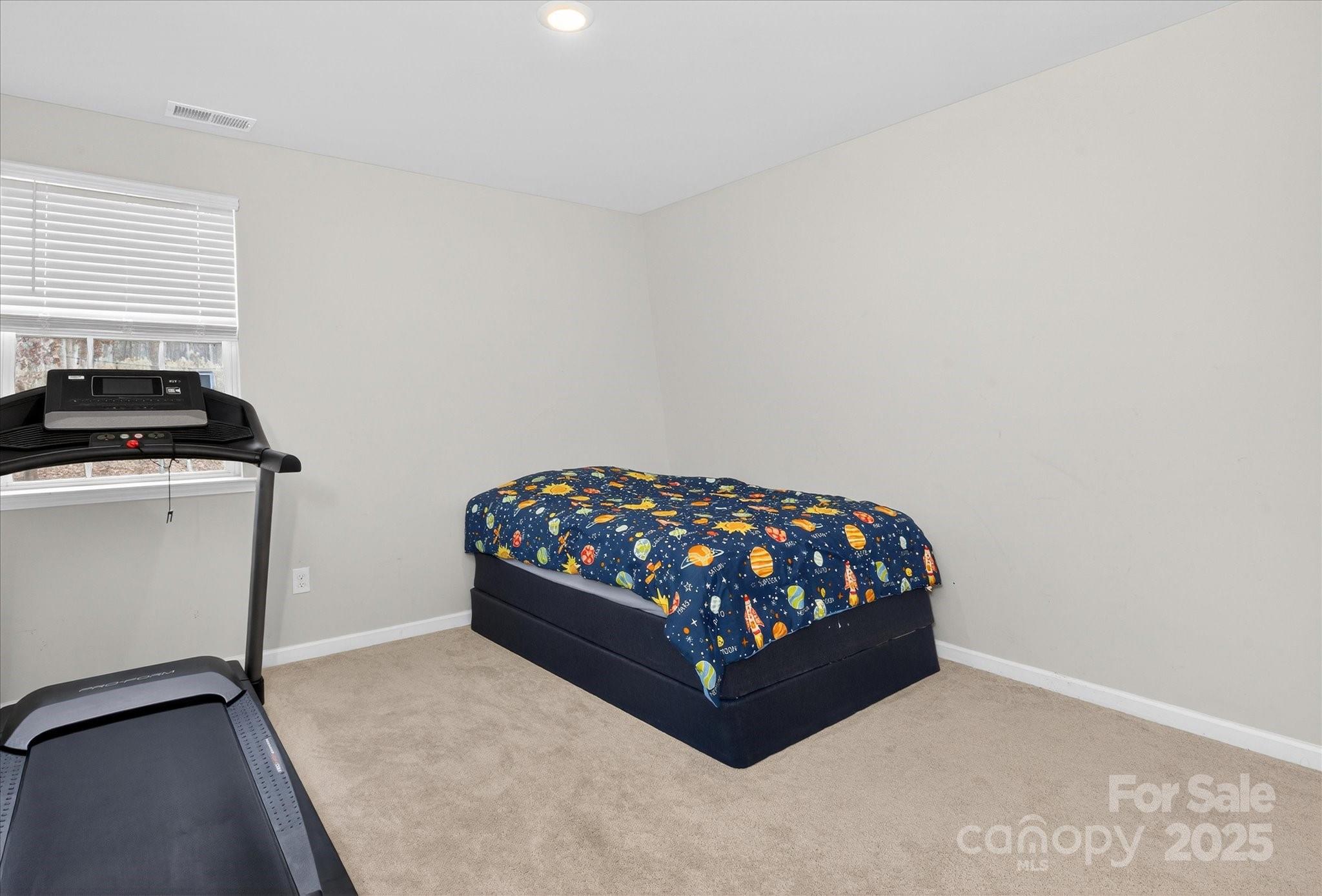 13017 Cinnamon Fern Lane — Mint Hill
