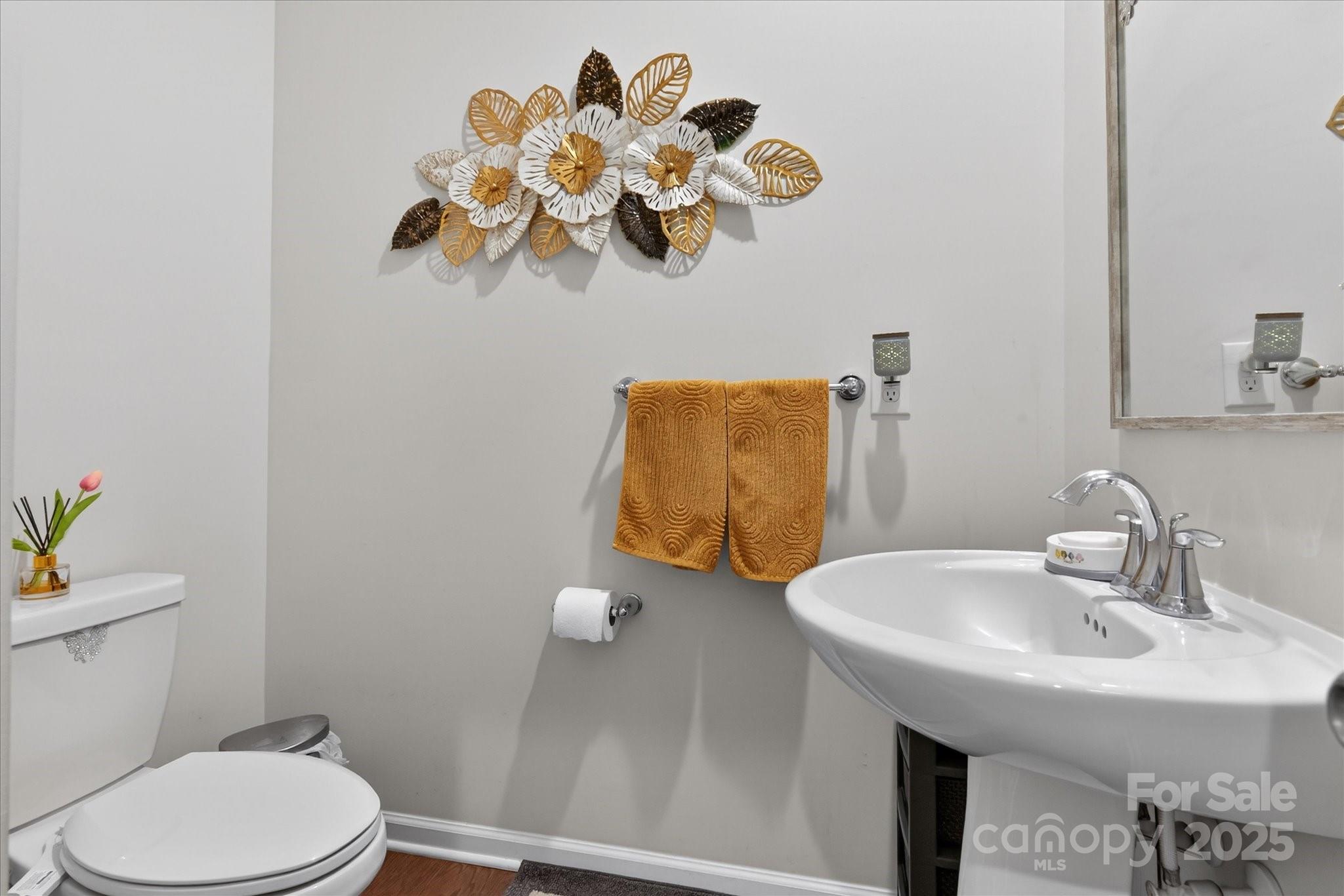 13017 Cinnamon Fern Lane — Mint Hill