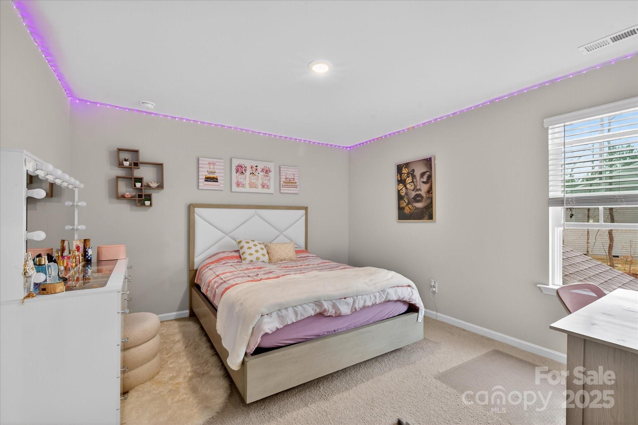 13017 Cinnamon Fern Lane — Mint Hill