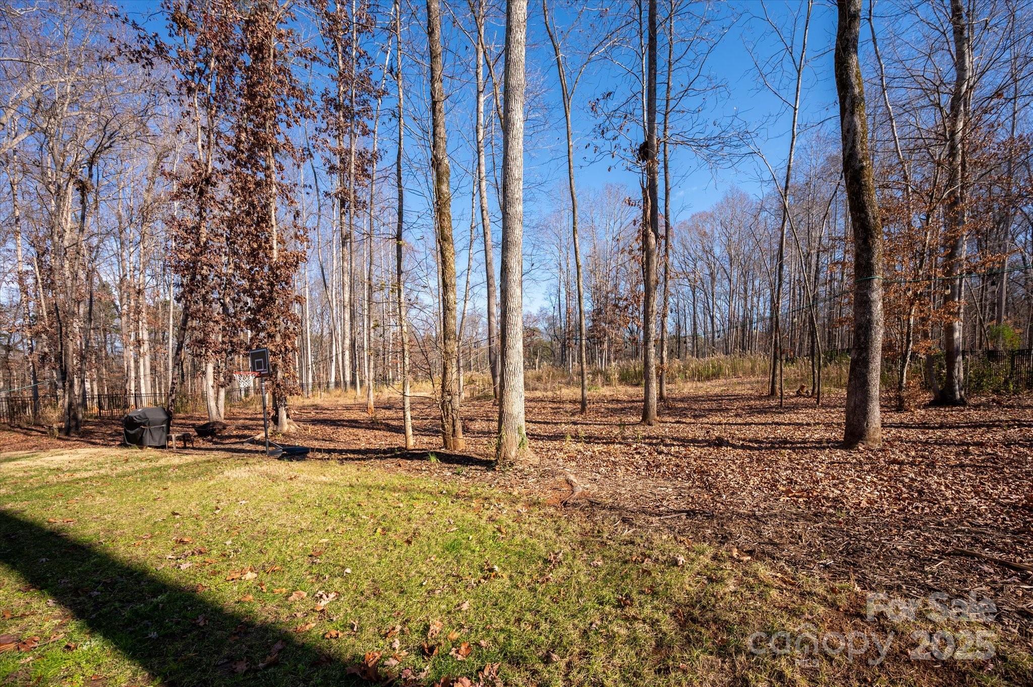 13017 Cinnamon Fern Lane — Mint Hill