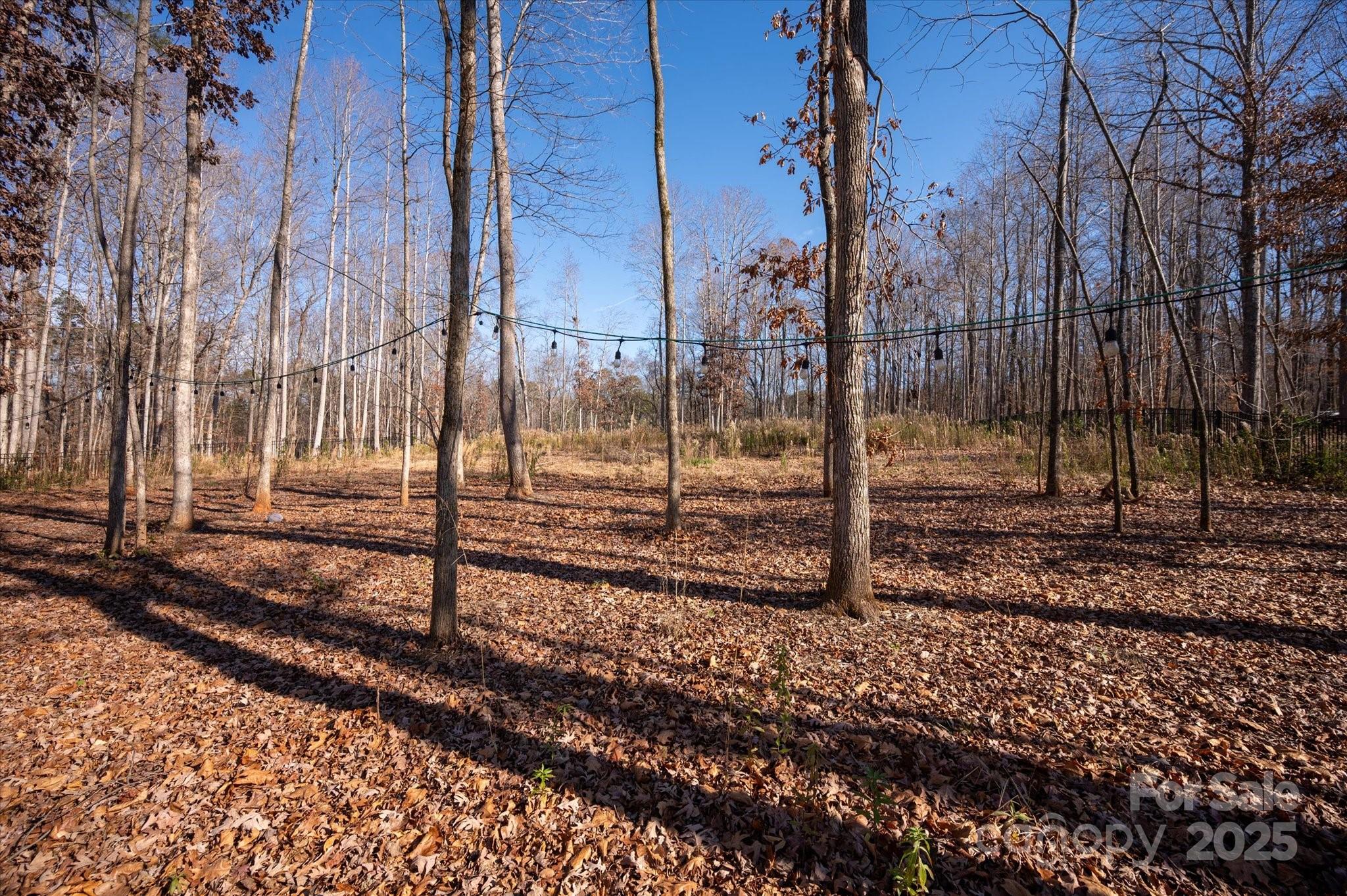 13017 Cinnamon Fern Lane — Mint Hill