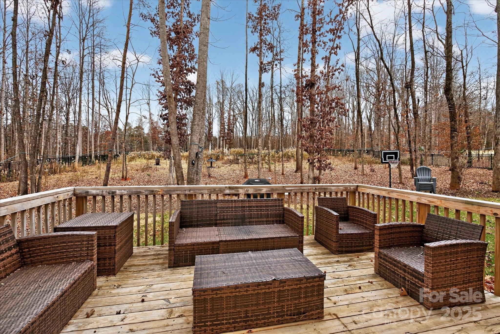 13017 Cinnamon Fern Lane — Mint Hill