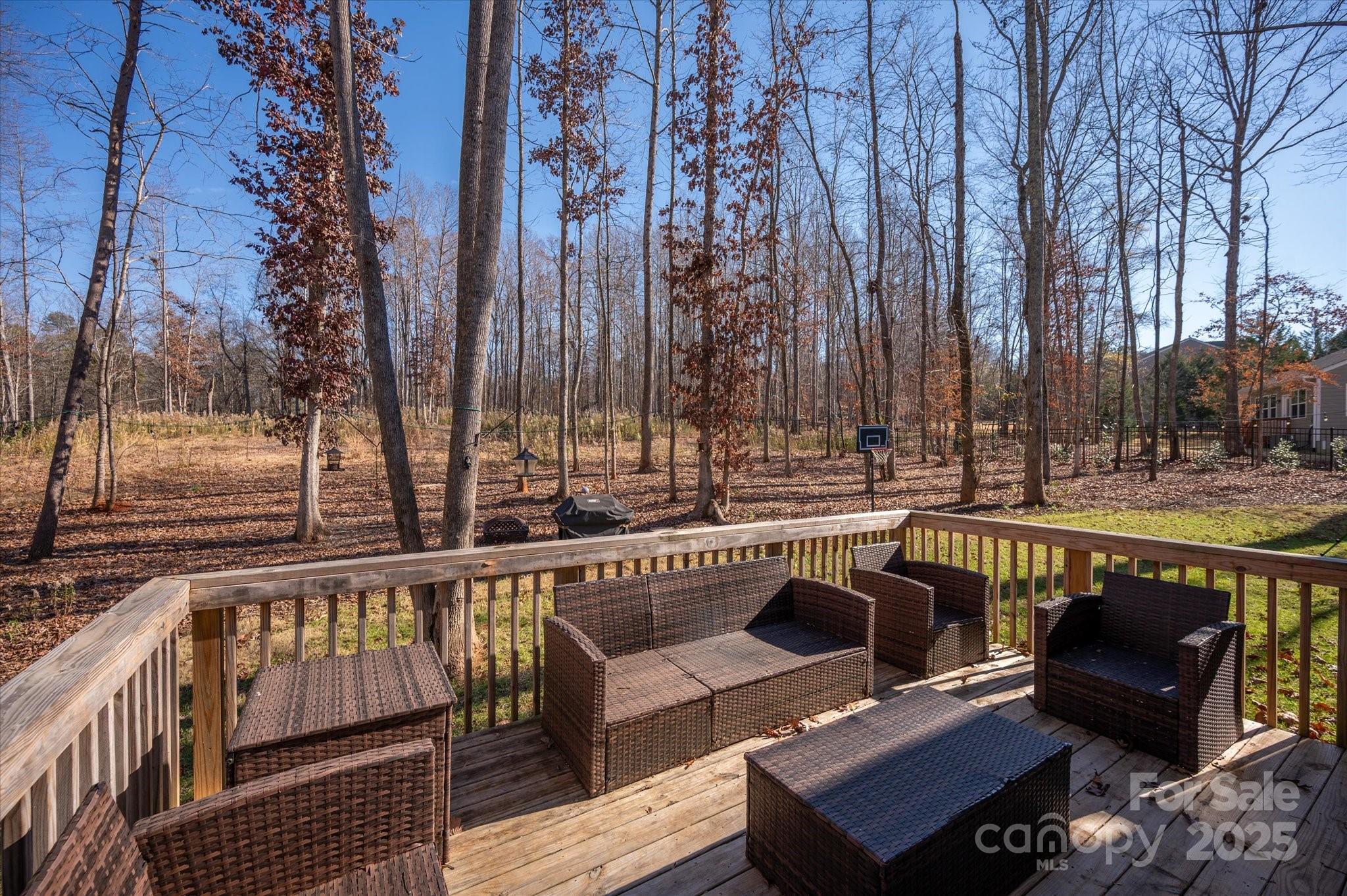 13017 Cinnamon Fern Lane — Mint Hill