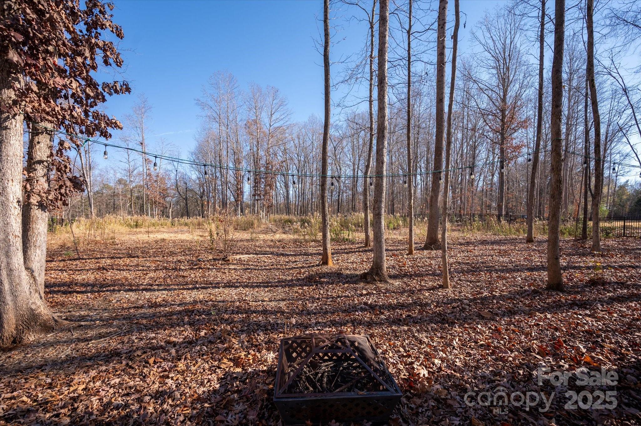 13017 Cinnamon Fern Lane — Mint Hill