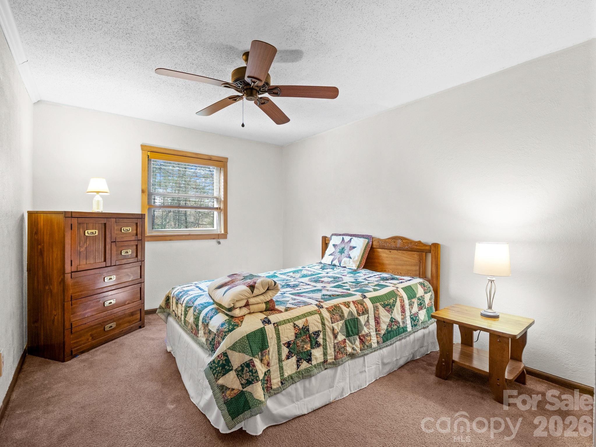 111 Buckeye Road — Lake Lure