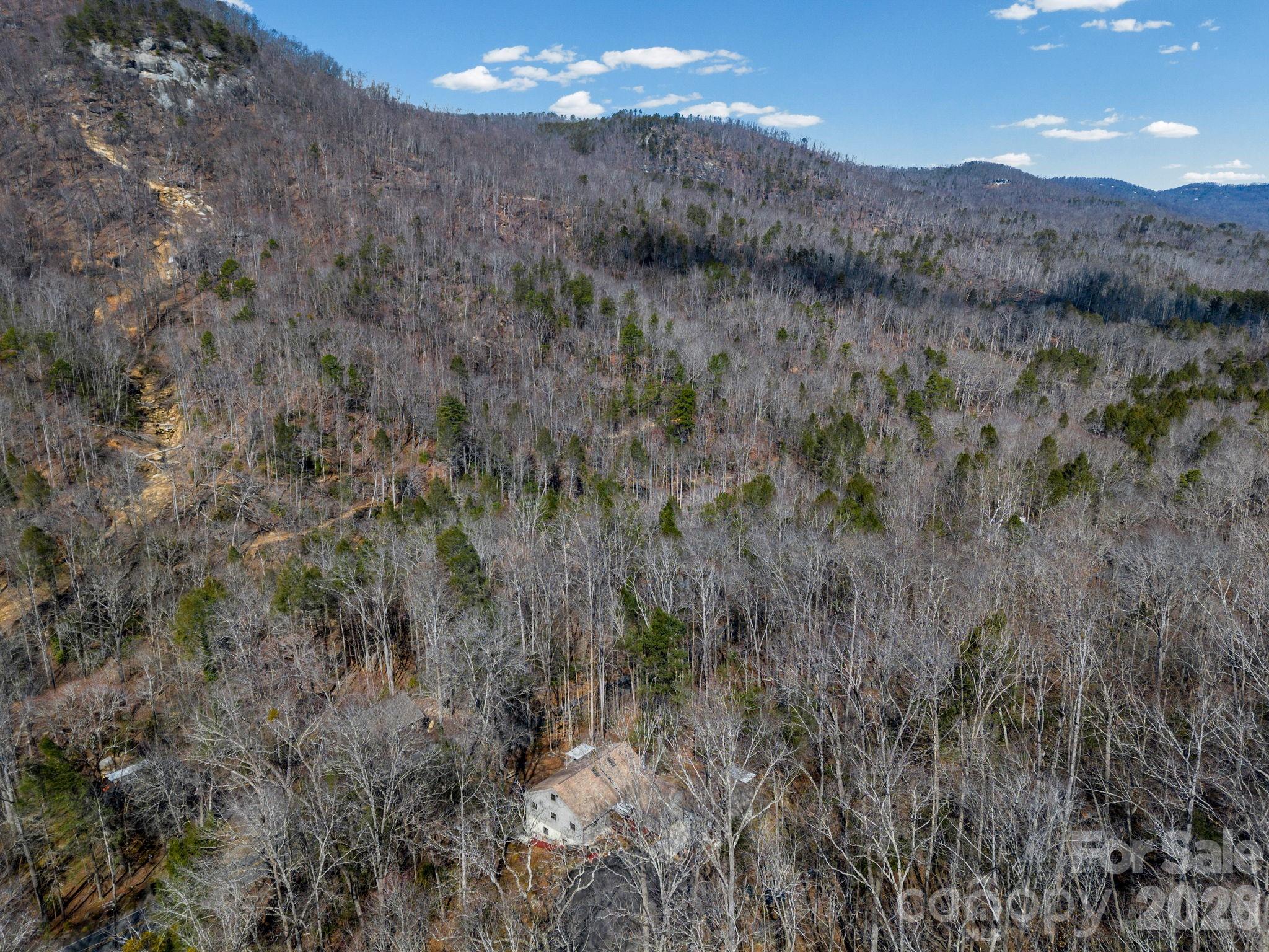 111 Buckeye Road — Lake Lure