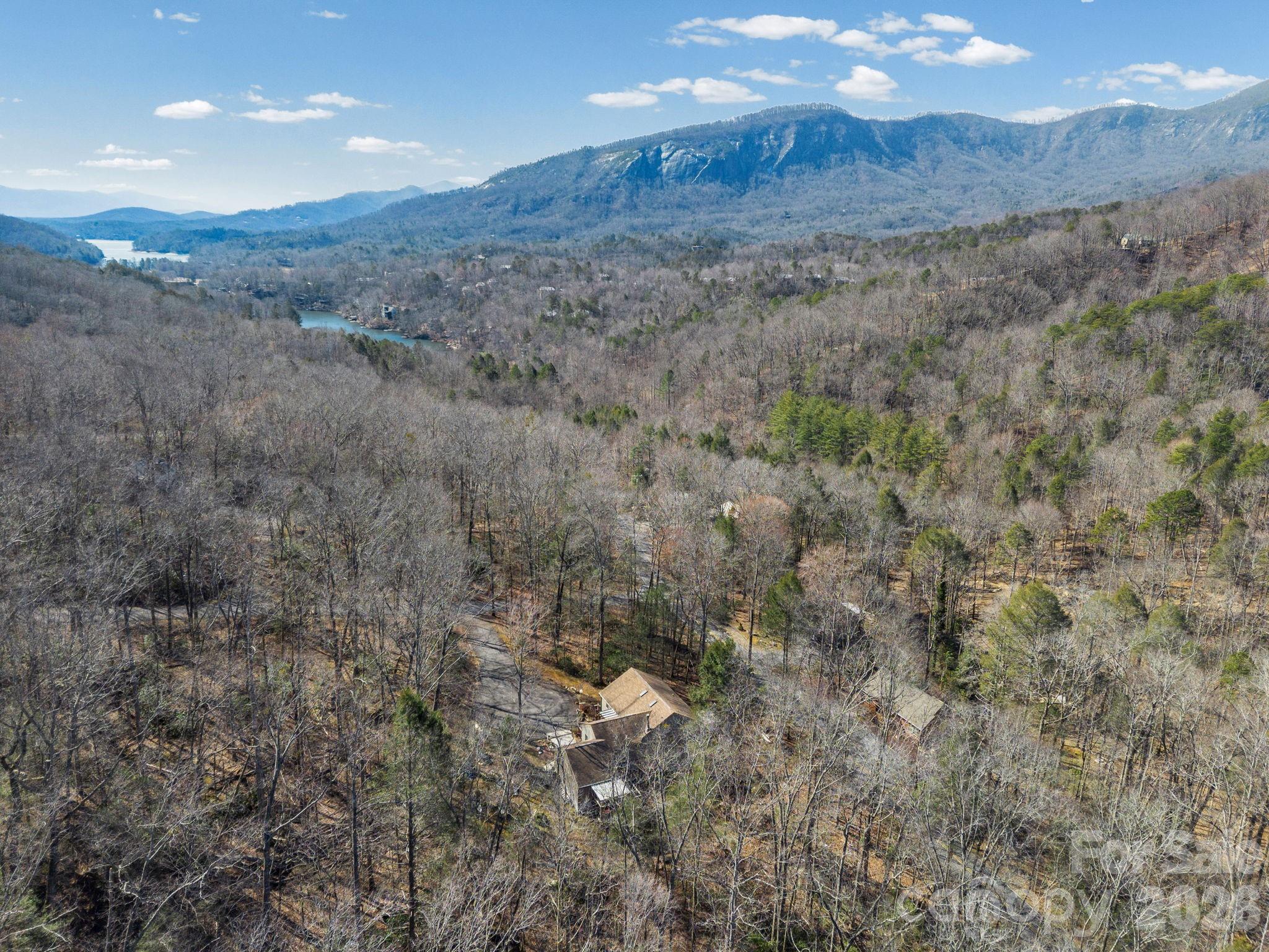 111 Buckeye Road — Lake Lure