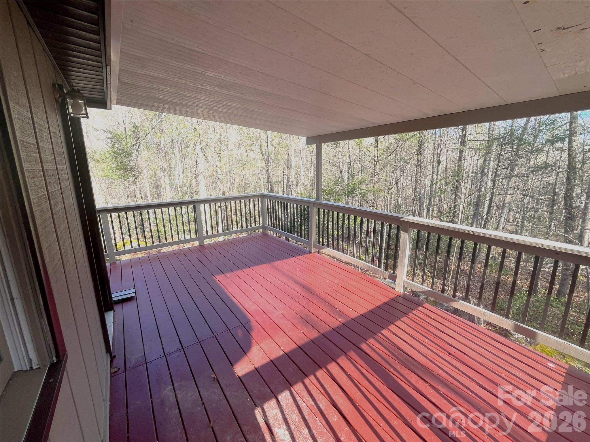 111 Buckeye Road — Lake Lure