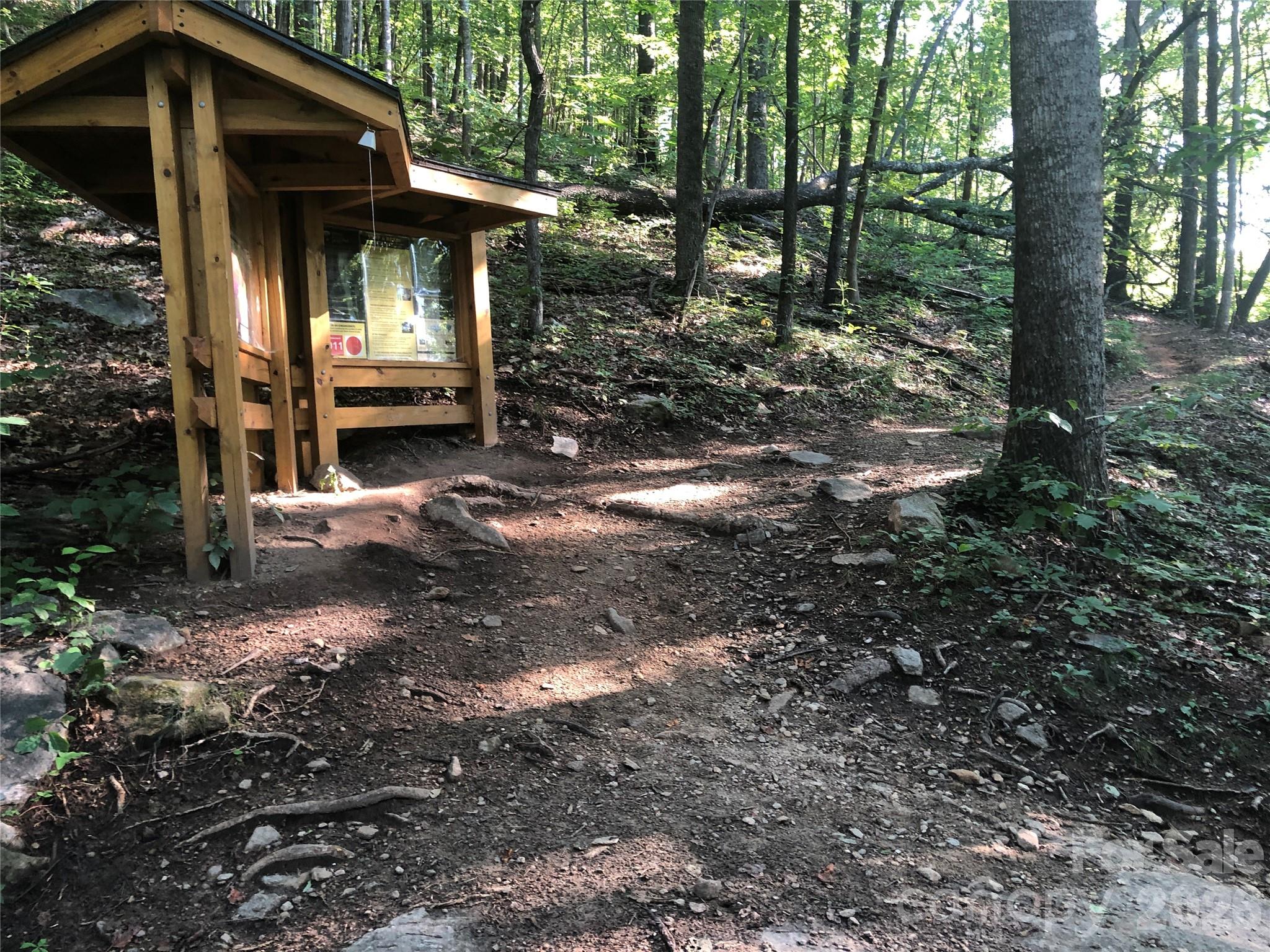 111 Buckeye Road — Lake Lure