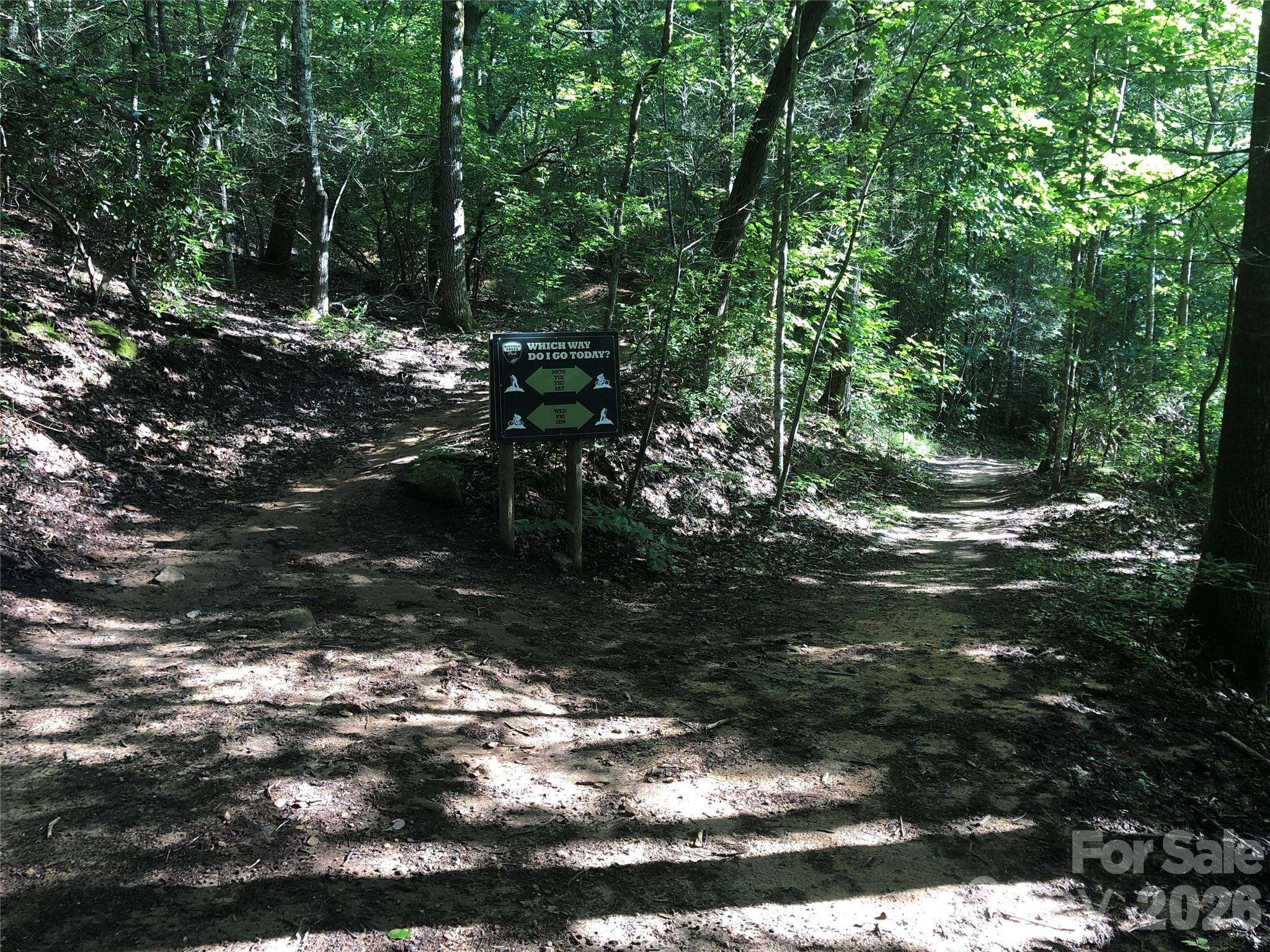 111 Buckeye Road — Lake Lure