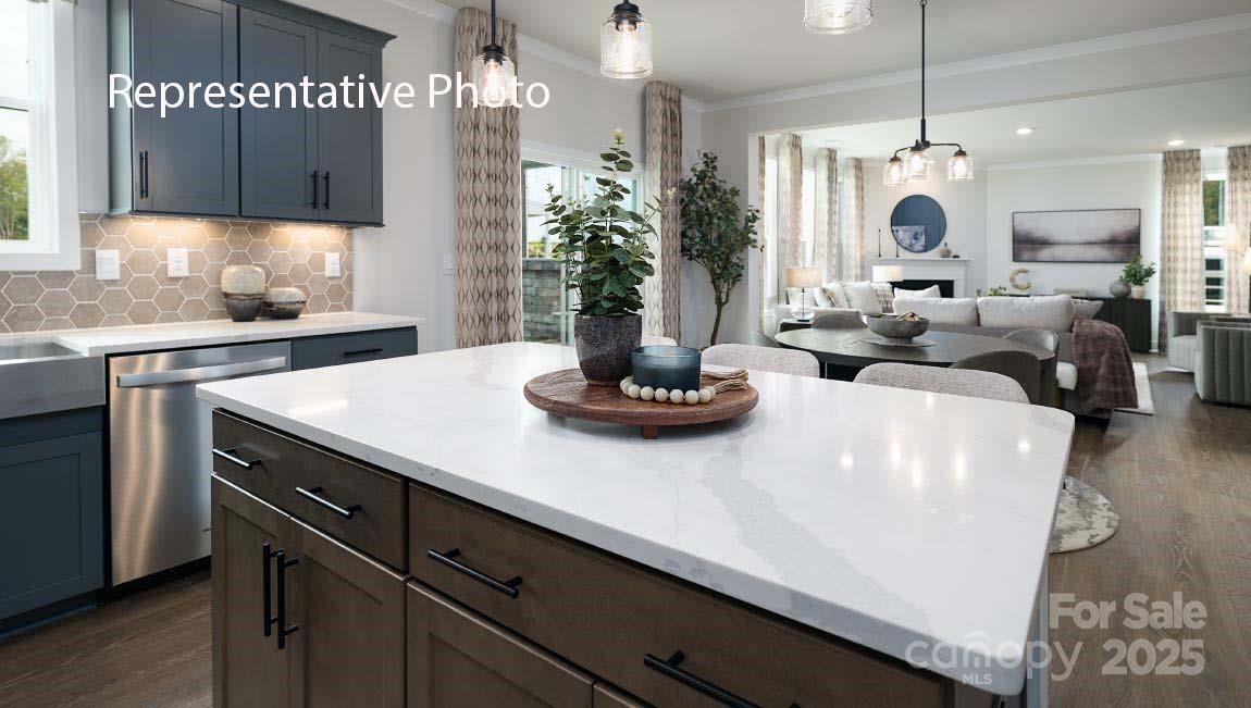 1003 Tundra Swan Drive — Indian Trail