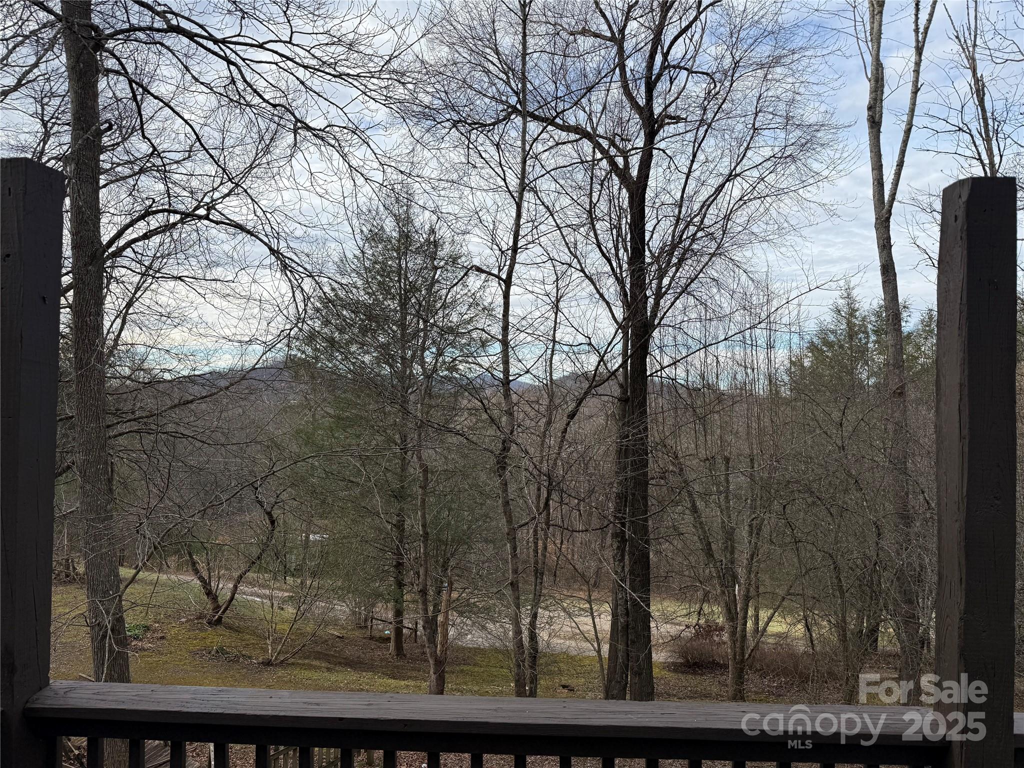 55 Twin Oaks Lane — Spruce Pine
